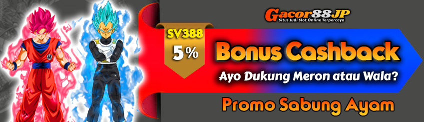 Bonus Cashback Sabung Ayam 5%
